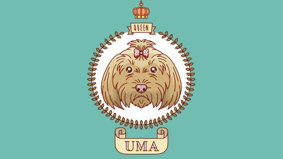 «El blog de Uma», mejor blog animal en los Premios 20blogs